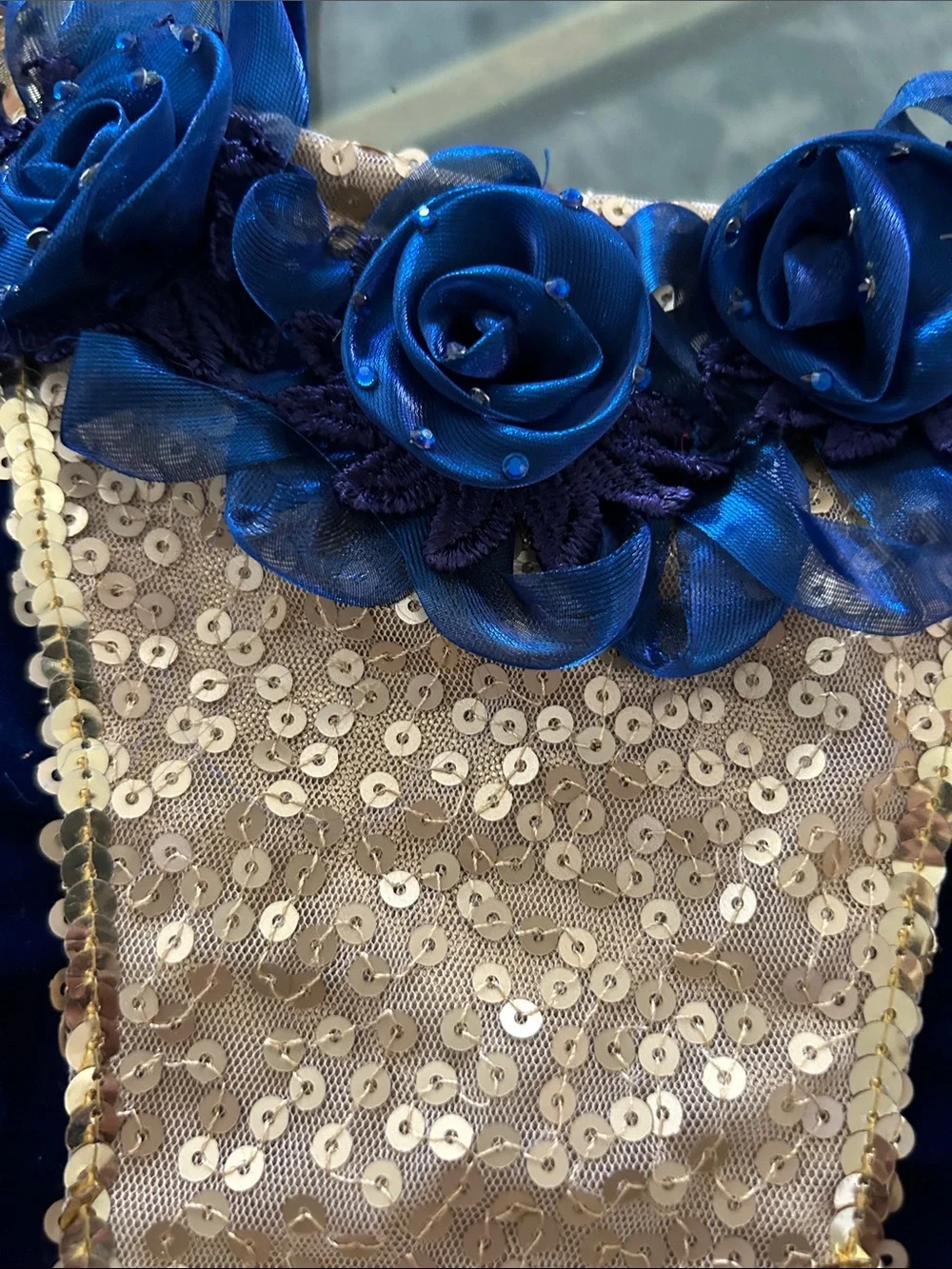 Revolution Blue and Gold Costume